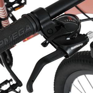 MTB R29 TOPMEGA FLAMINGO 21V CUADRO ALUMINIO ROSA ARENA/FUCSIA TALLE XS-14
