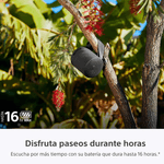 Parlante-SONY-XB100-4