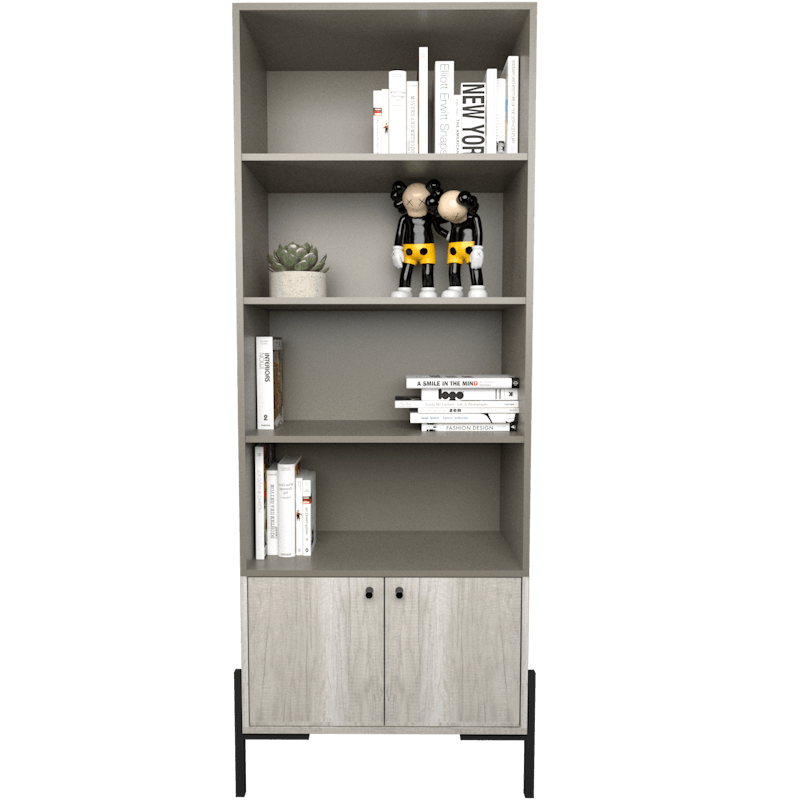 BIBLIOTECA-4256-GCN-2