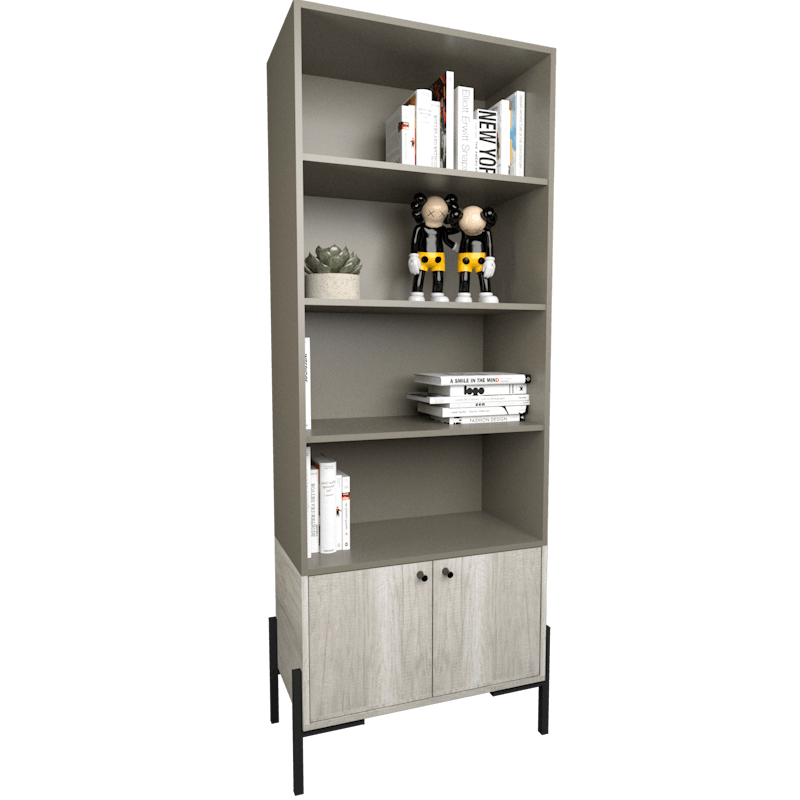 BIBLIOTECA-4256-GCN-1