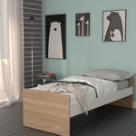 6455-olmo-f-blanco-1