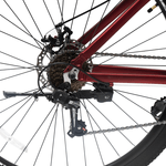 BICI-KANY-R.29-AL2902-ALLOY-FRAME-RED-3