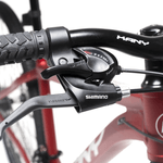 BICI-KANY-R.29-AL2902-ALLOY-FRAME-RED-5