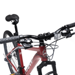 BICI-KANY-R.29-AL2902-ALLOY-FRAME-RED-4