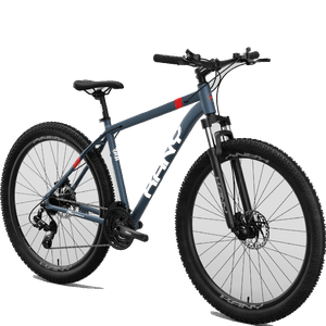 MTB R29 KANY 21V CUADRO ALUMINIO FRENO HIDRAULICO TALLE L-19" AL2903