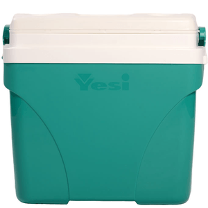 CONSERVADORA YESY 26600P 34 LTS