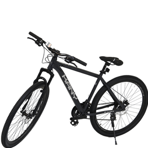 MTB R29 KANY ALLOY FRAME BLACK/GREY AL2902 TALLE M-17"