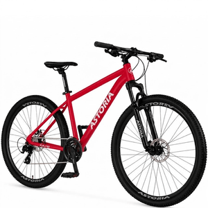 Bicicleta Mtb R29 Astoria Shimano 21v Cuadro Aluminio Red Talle L-19"