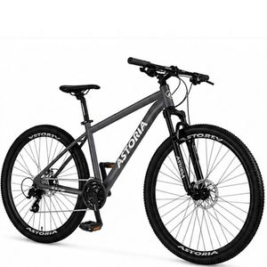 Bicicleta Mtb R29 Astoria Shimano 21v Cuadro Aluminio Dark Grey Talle M-17"