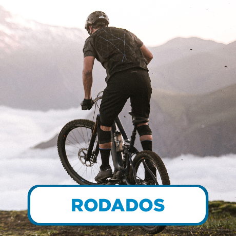 Bicicletas